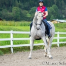 Klassische Dressur mit Desmond O'Brien