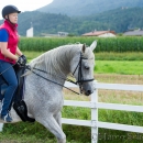 Klassische Dressur mit Desmond O'Brien