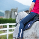 Klassische Dressur mit Desmond O'Brien
