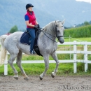 Klassische Dressur mit Desmond O'Brien