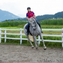 Klassische Dressur mit Desmond O'Brien