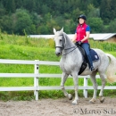 Klassische Dressur mit Desmond O'Brien