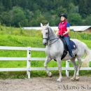 Klassische Dressur mit Desmond O'Brien