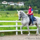 Klassische Dressur mit Desmond O'Brien