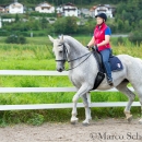 Klassische Dressur mit Desmond O'Brien
