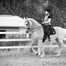 Klassische Dressur mit Desmond O'Brien