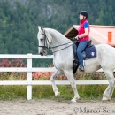 Klassische Dressur mit Desmond O'Brien