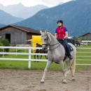 Klassische Dressur mit Desmond O'Brien