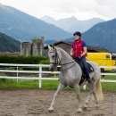 Klassische Dressur mit Desmond O'Brien