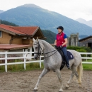 Klassische Dressur mit Desmond O'Brien