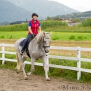 Klassische Dressur mit Desmond O'Brien