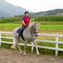 Klassische Dressur mit Desmond O'Brien