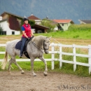Klassische Dressur mit Desmond O'Brien