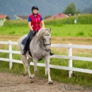 Klassische Dressur mit Desmond O'Brien