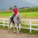 Klassische Dressur mit Desmond O'Brien