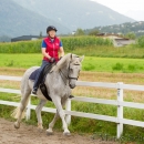 Klassische Dressur mit Desmond O'Brien