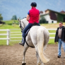 Klassische Dressur mit Desmond O'Brien