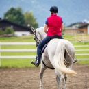 Klassische Dressur mit Desmond O'Brien