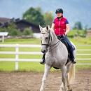 Klassische Dressur mit Desmond O'Brien