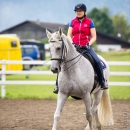 Klassische Dressur mit Desmond O'Brien