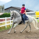 Klassische Dressur mit Desmond O'Brien