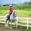 Klassische Dressur mit Desmond O'Brien