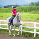 Klassische Dressur mit Desmond O'Brien