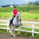 Klassische Dressur mit Desmond O'Brien
