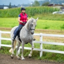 Klassische Dressur mit Desmond O'Brien