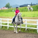 Klassische Dressur mit Desmond O'Brien