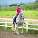 Klassische Dressur mit Desmond O'Brien