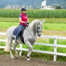 Klassische Dressur mit Desmond O'Brien