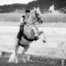Klassische Dressur mit Desmond O'Brien