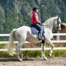 Klassische Dressur mit Desmond O'Brien