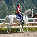 Klassische Dressur mit Desmond O'Brien