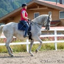 Klassische Dressur mit Desmond O'Brien