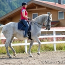 Klassische Dressur mit Desmond O'Brien