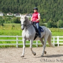 Klassische Dressur mit Desmond O'Brien