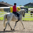 Klassische Dressur mit Desmond O'Brien