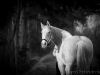Ronja - Winter 2014
