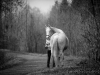 Ronja - Winter 2014