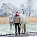Spaziergang im Winter