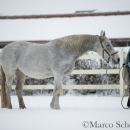 Ronja - Februar 2015