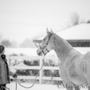 Ronja - Februar 2015