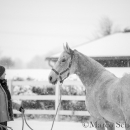 Ronja - Februar 2015