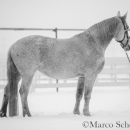 Ronja - Februar 2015