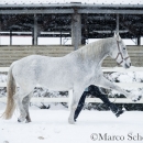 Ronja - Februar 2015