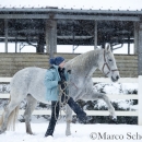 Ronja - Februar 2015
