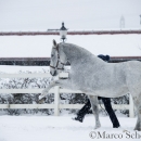 Ronja - Februar 2015