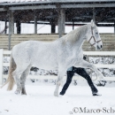 Ronja - Februar 2015